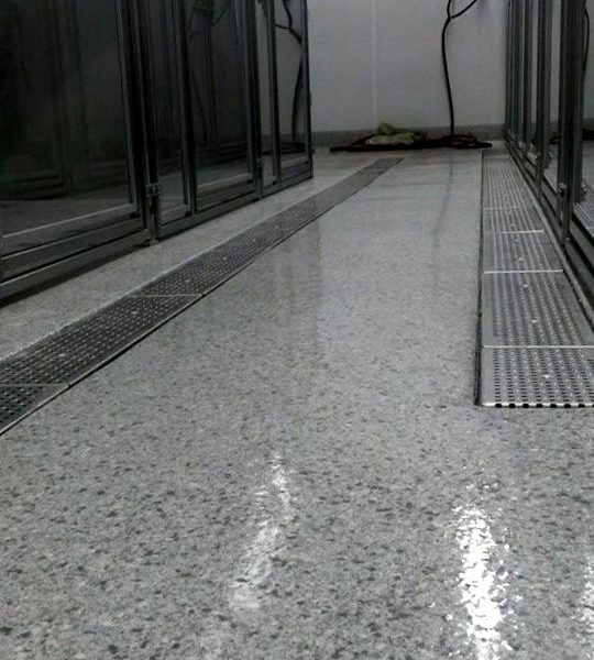 TreadWell Epoxy floor Twelve Mile Veterinary Clinic